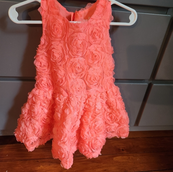 2t girls dress bundle - Picture 3 of 4